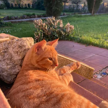 Le Pigeonnier De Migou Tatil Evi Larrazet