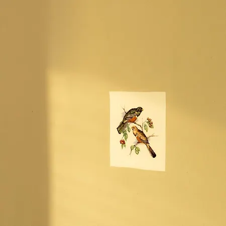 Le Pigeonnier De Migou *