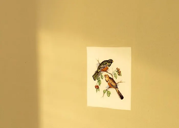 Le Pigeonnier De Migou *